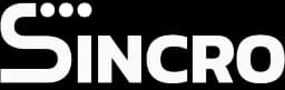 Logo Sincro | Esalink