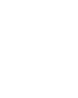 Logo Peppol | Esalink