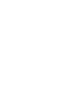Logo Peppol | Esalink