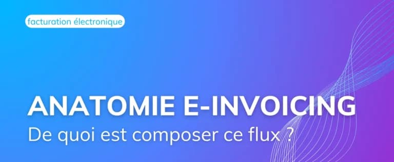 Anatomie d’une Facture Electronique : ce que compose réellement ce fichier